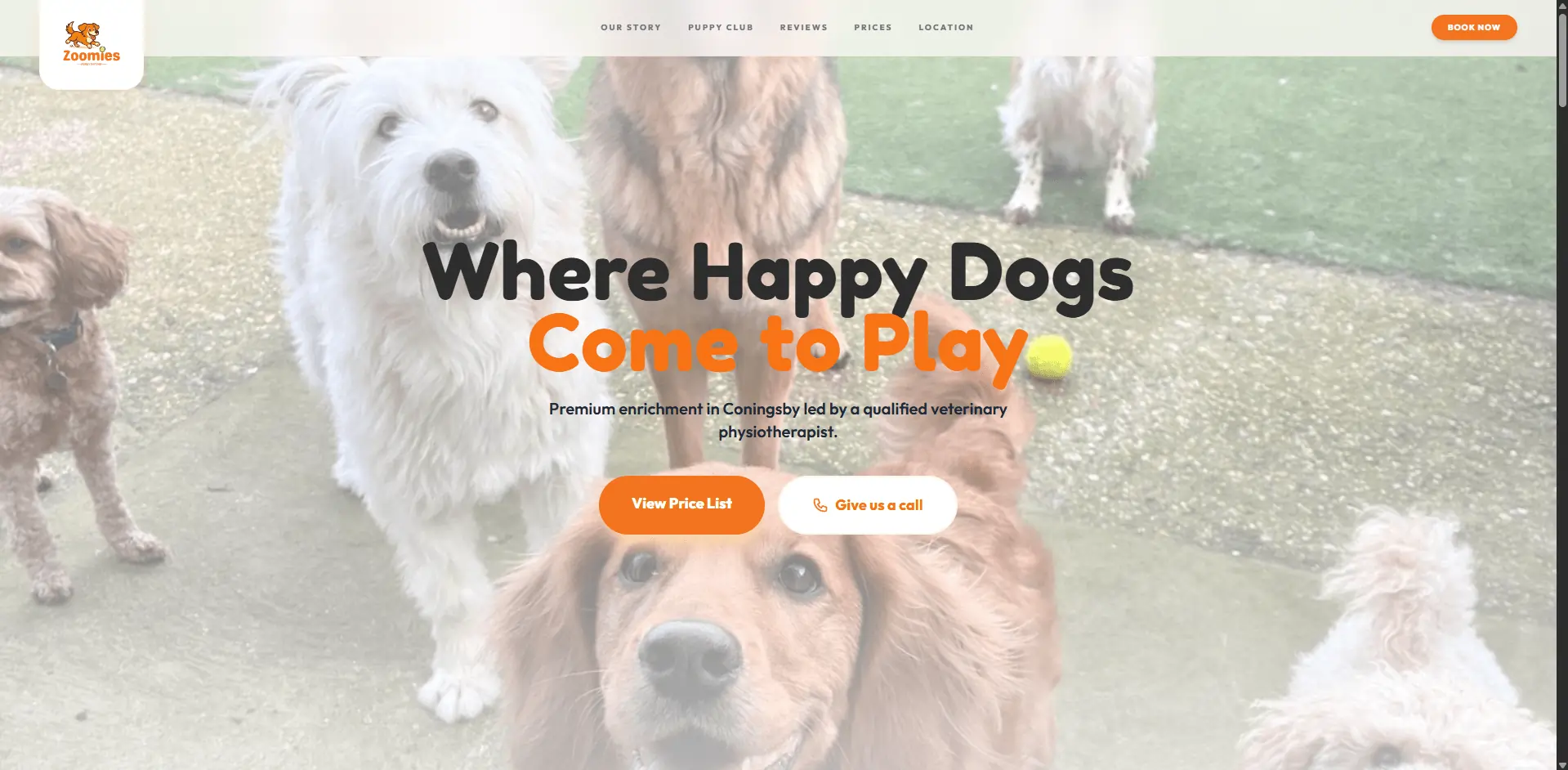 Zoomies Dog Walking Web Design Project in Lincolnshire